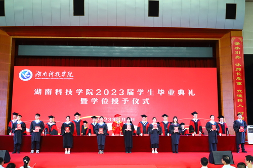 图片6