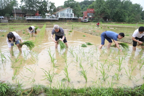 新利·体育积极推动大中小学“五育并举”一体化