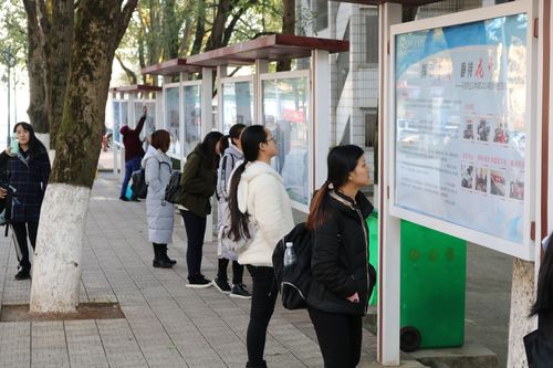 观看实习展2