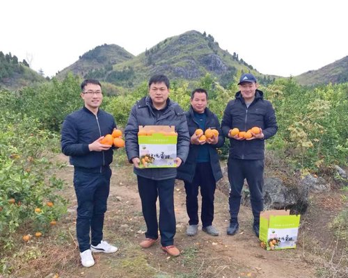 微信图片_20210501101152 微信图片_20210501101152