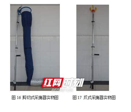 新利·体育大学生研发“摘果神器”