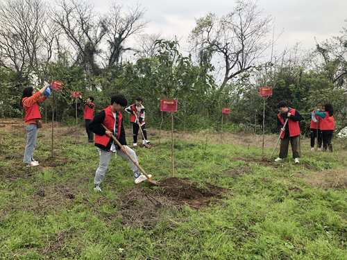 88BA2E92F670DC9F3DDAA073F69D4A56