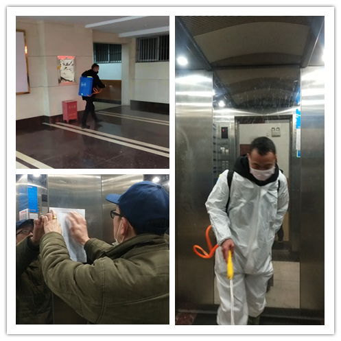 行政楼日常消杀